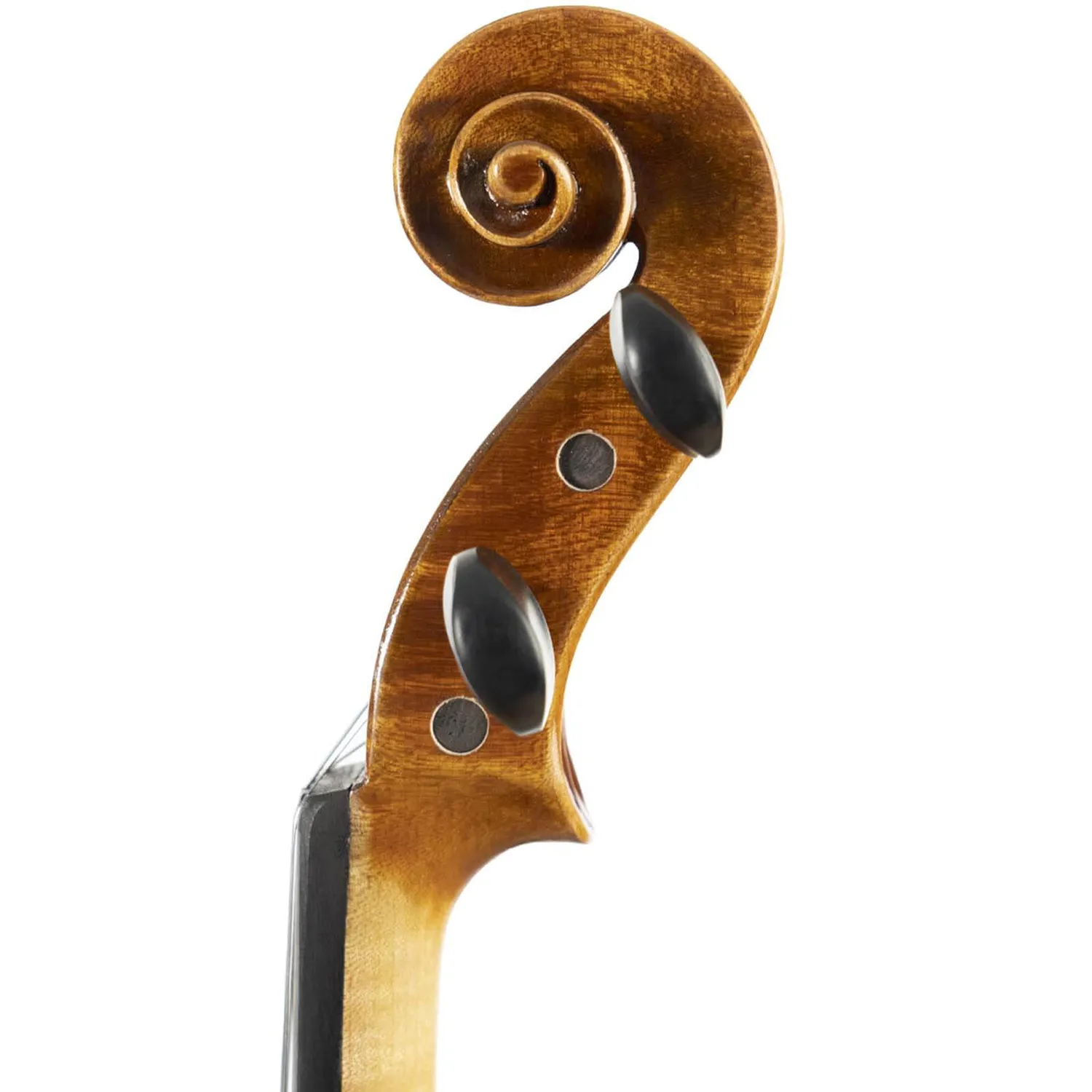 Franz Hoffmann Concert Fiddle Geige 4/4 DAddario Folk hell
