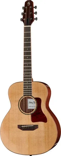 Harley Benton Custom Line CLGS-10S Reisegitarre Fichte