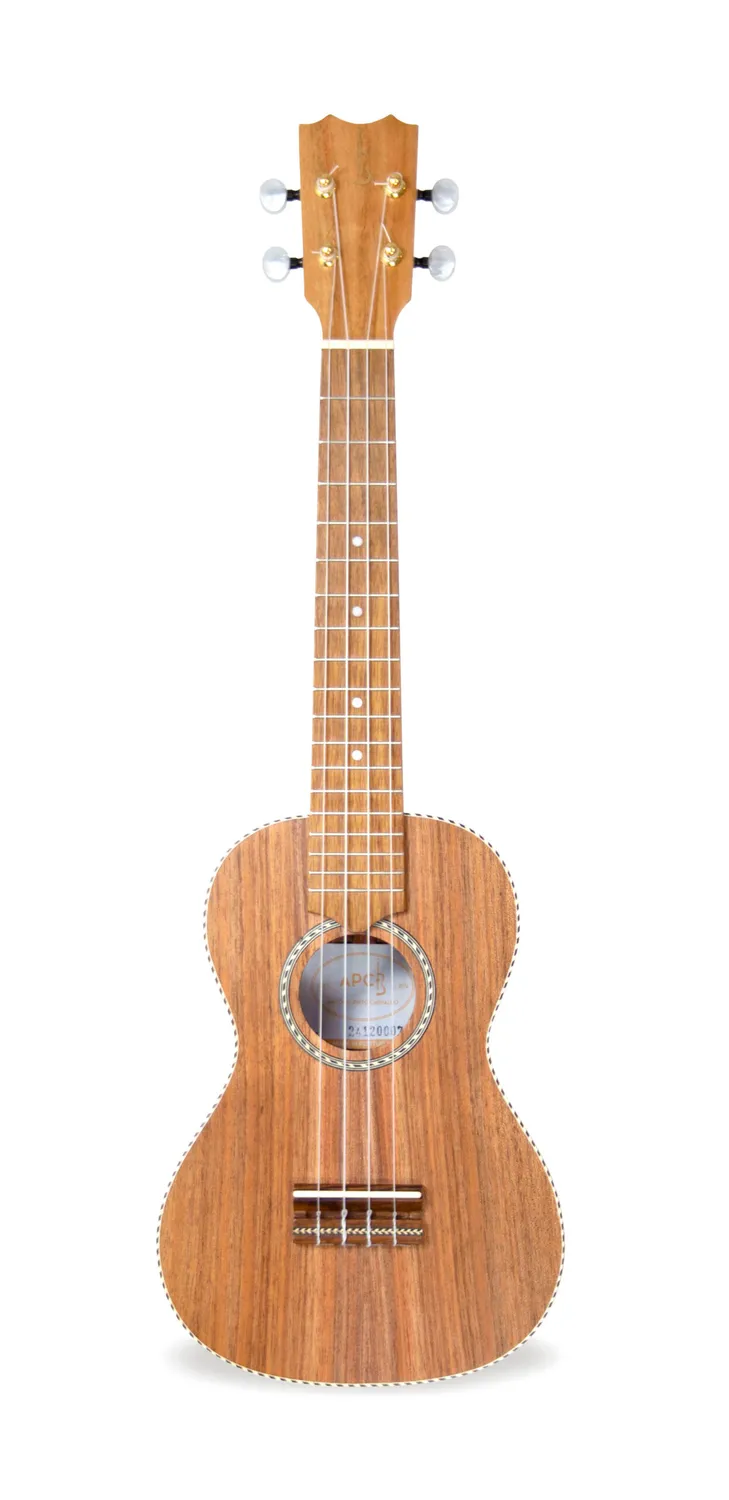 APC CT Cavaquinho Koa massiv offenporig