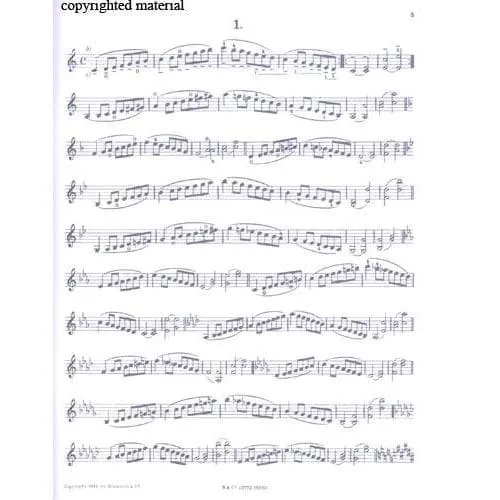 Shar Music Rockin Out Blues Fiddle Noten Violine mit CD