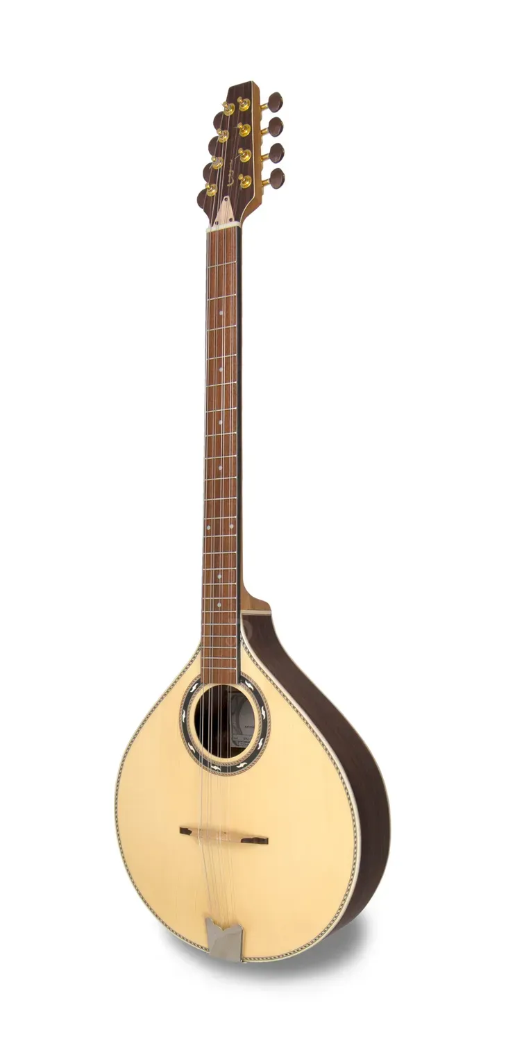 APC IRB312 Irish Bouzouki Fichte Palisander massiv