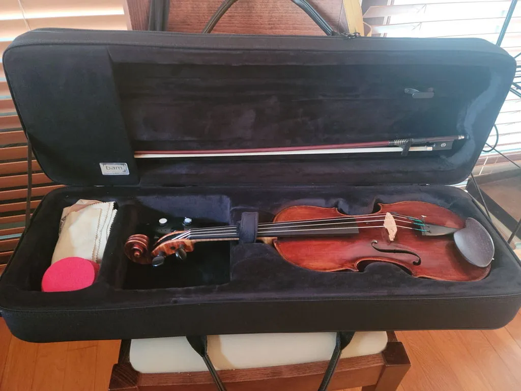 BAM Conservatoire Geigenkasten 4/4 mit Rucksackgurt