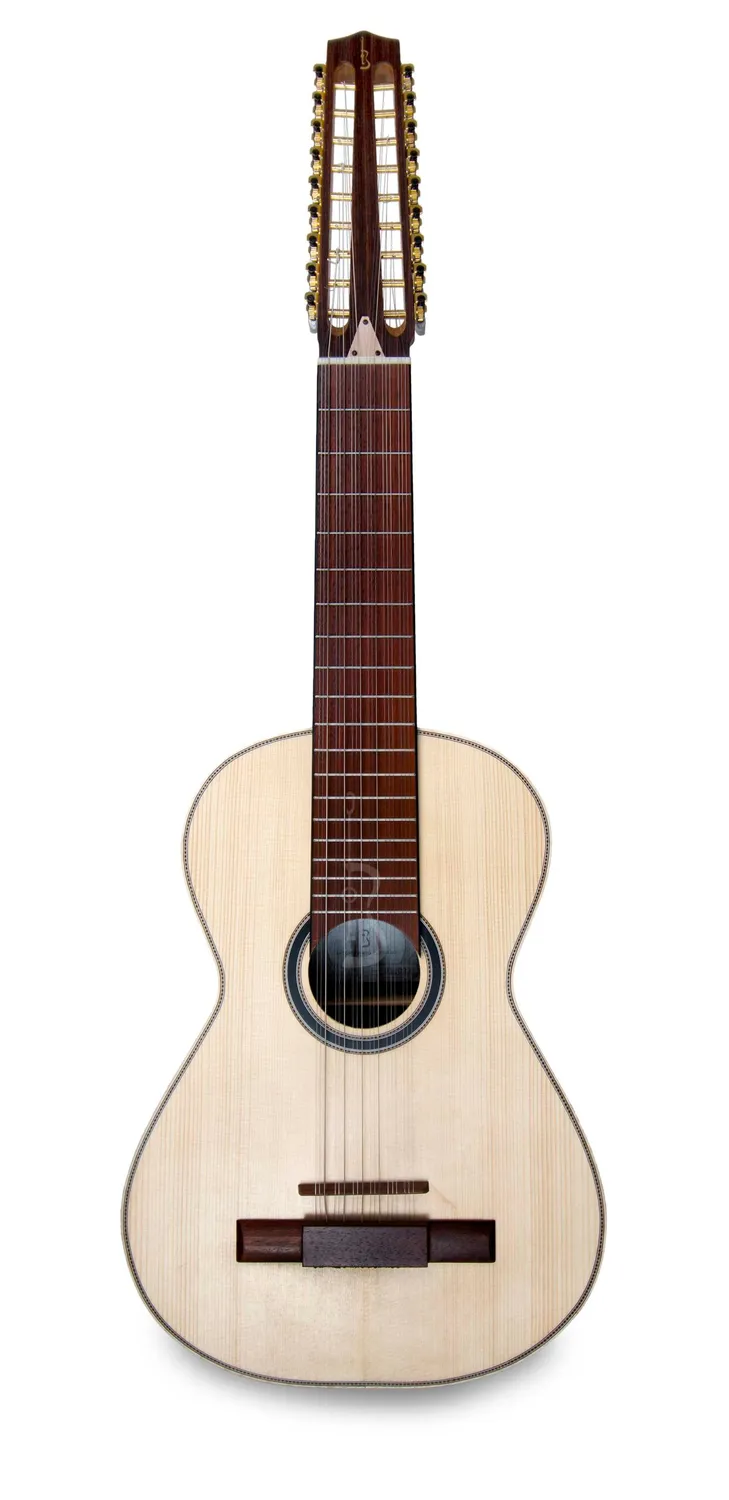 APC VTR AC T18 Viola Toeira Palisander massiv