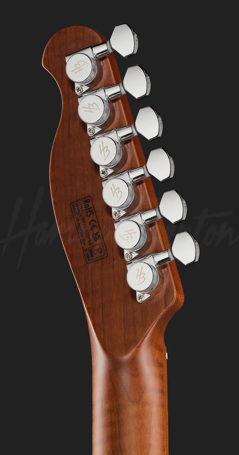 Harley Benton Progressive Fusion-T II HH E-Gitarre QDG