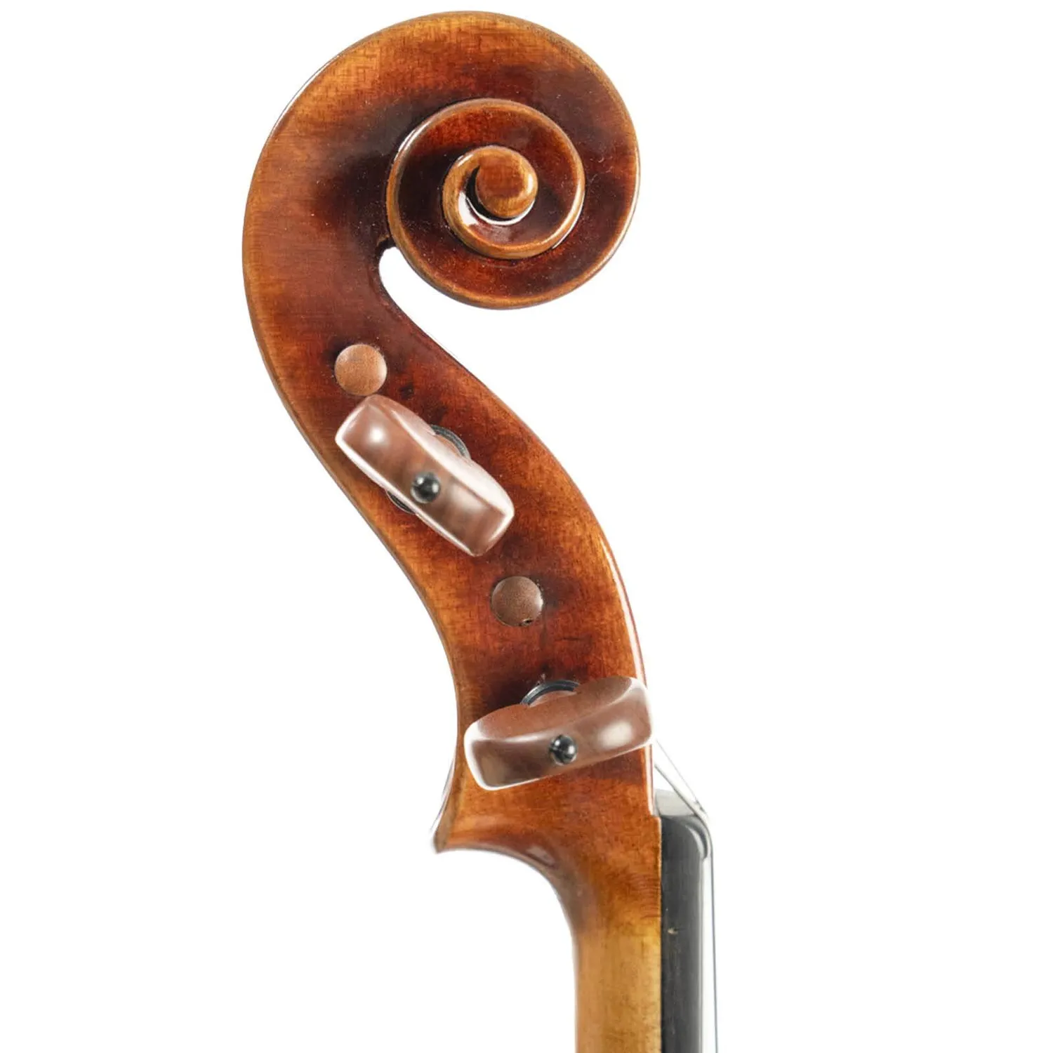 Shar Carlo Lamberti Master Violine 4/4 B-Stock