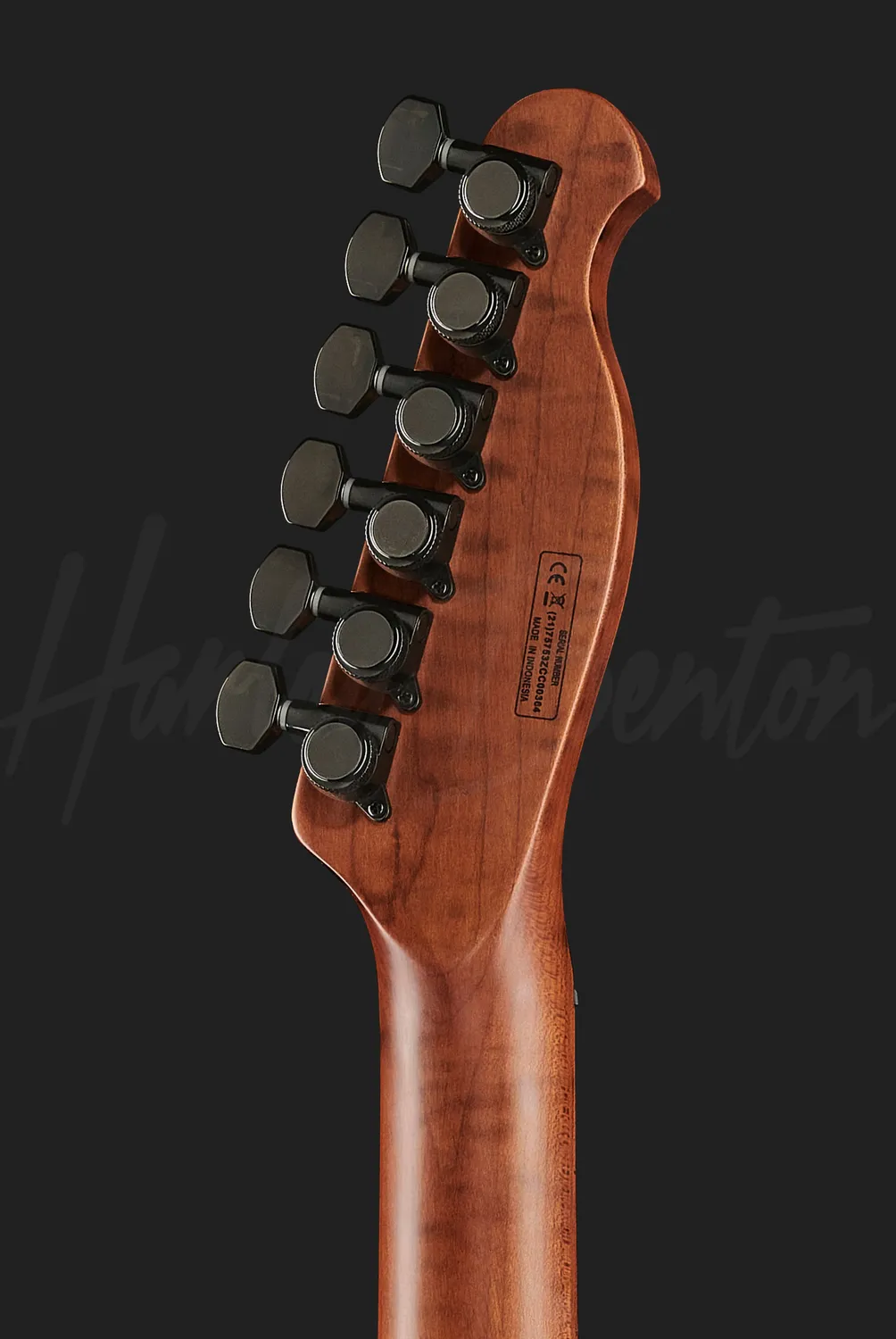 Harley Benton Fusion-T EMG HT E-Gitarre Schwarz matt