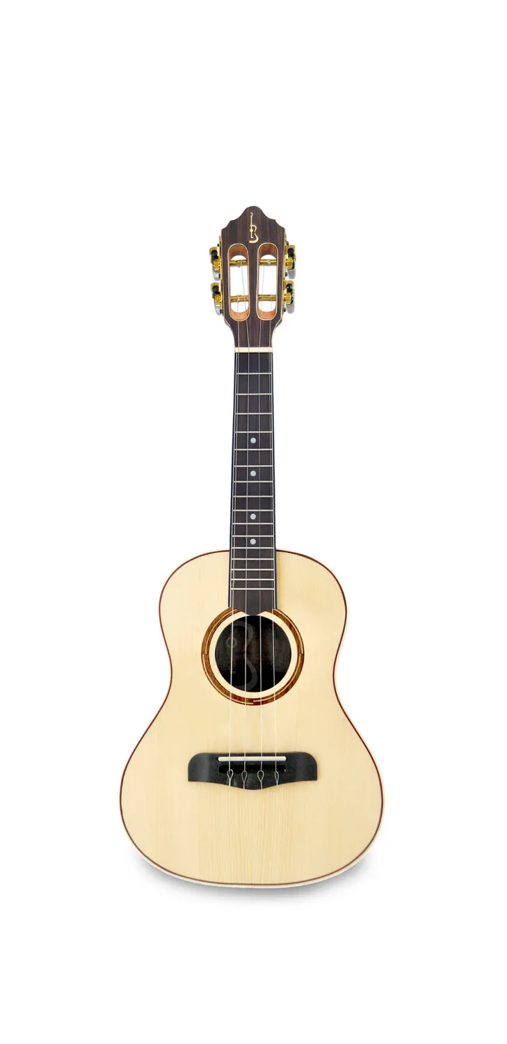 APC Luthier Klassikgitarre massiv Palisander