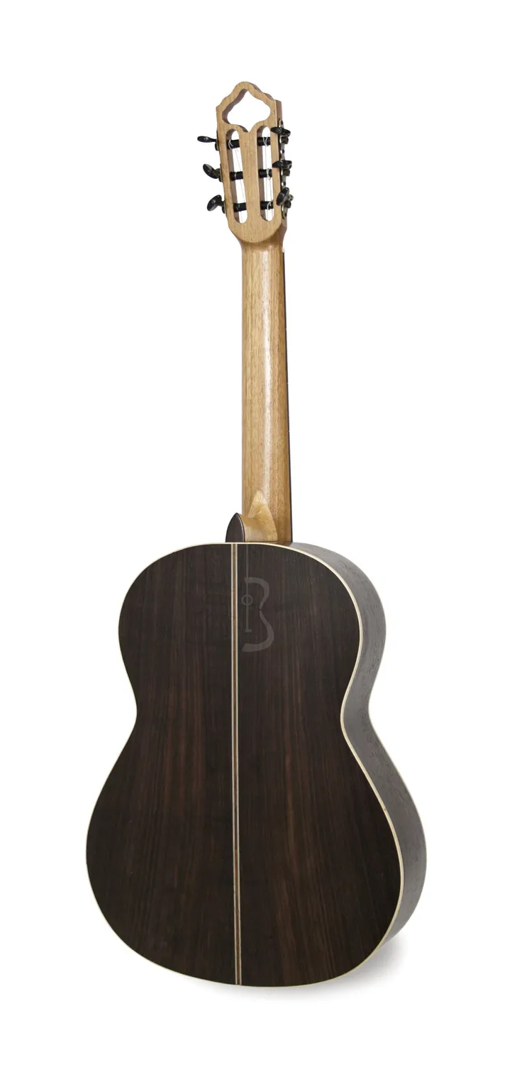 APC CGS 312 Gitarre massiv Palisander Koffer