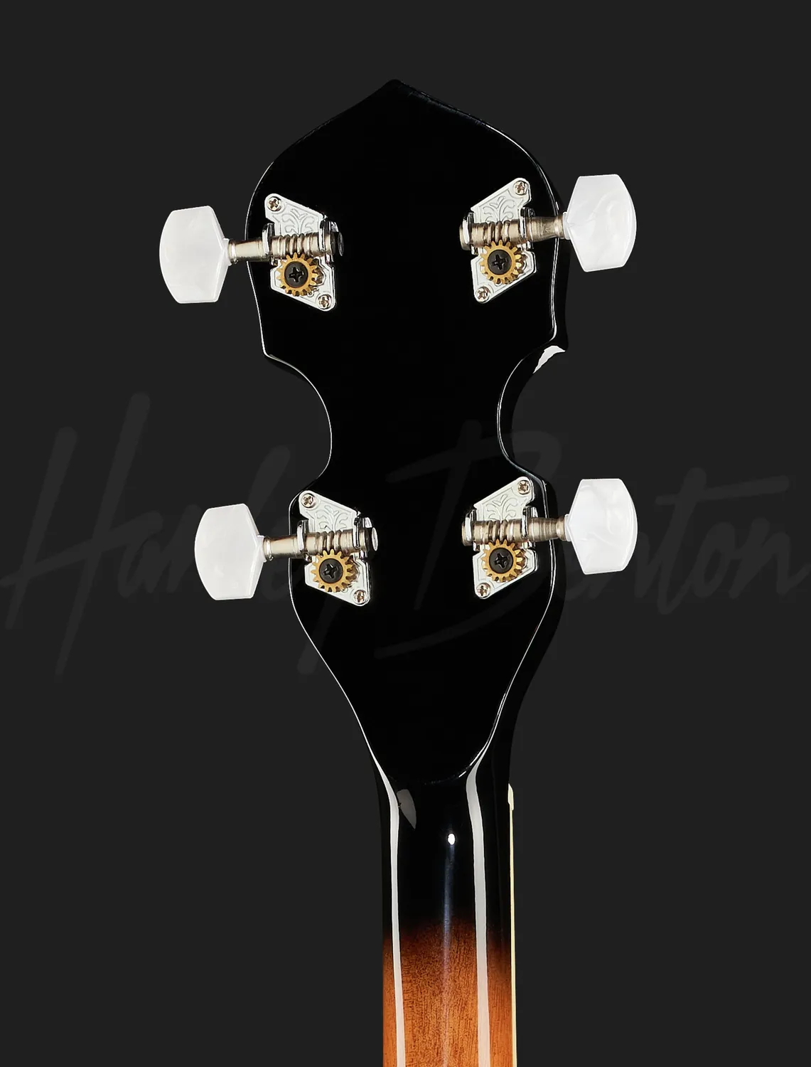 Harley Benton Bluegrass HBJ-25LH Banjo Linkshänder 5-saitig
