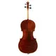 No Label 3/4 Cello gebraucht massiv