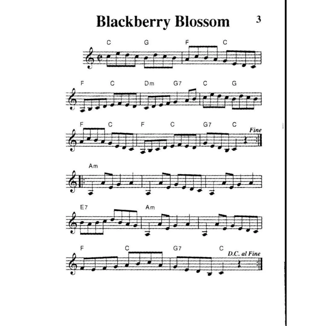 Mel Bay Pocketbook Deluxe Fiddling Tune Book Notenbuch Violine Taschenbuch