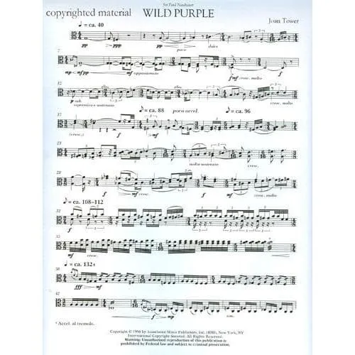 Hal Leonard Tower Wild Purple Viola Noten Solo