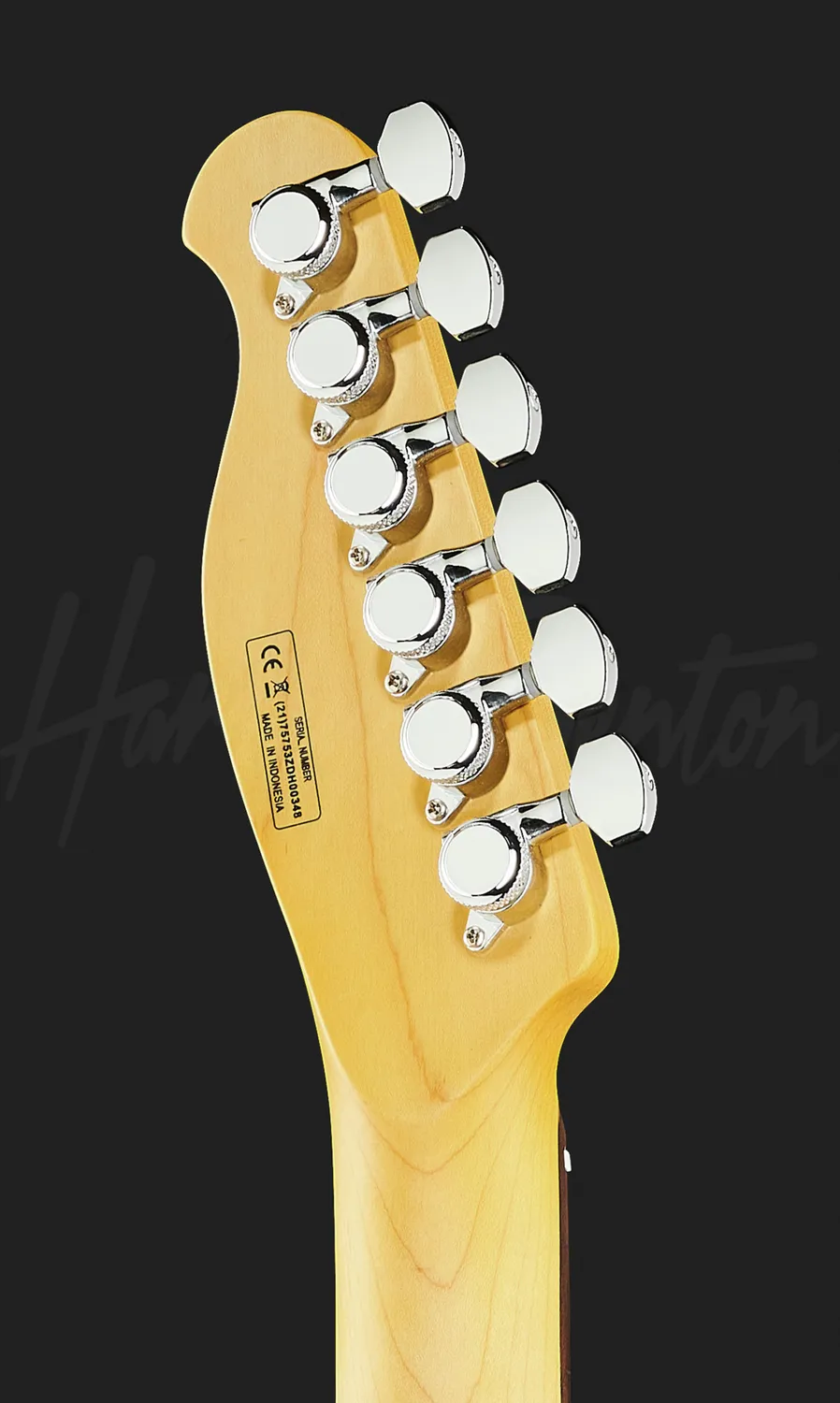 Harley Benton Progressive Fusion-T HH E-Gitarre OCT