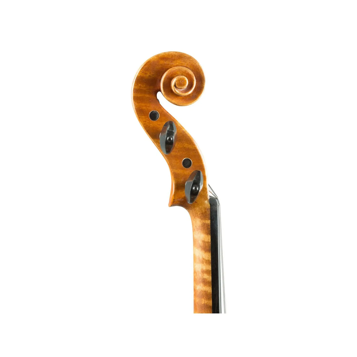 Carlo Lamberti Classic Violine 4/4 Fichte Ahorn