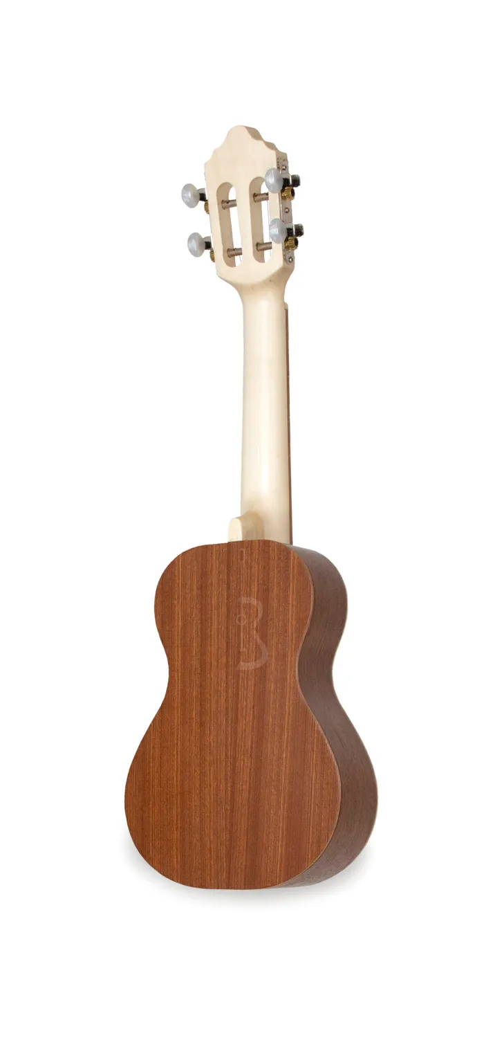 APC CAV Azulejo NAT Cavaquinho Fichte Sapelli
