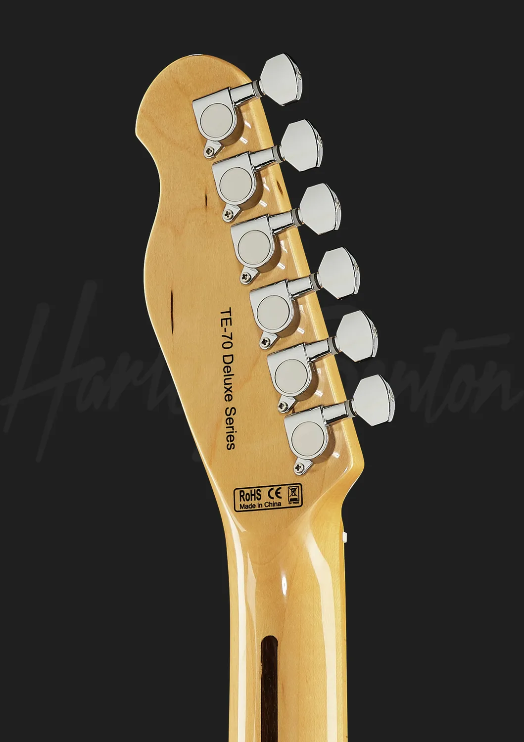 Harley Benton Classic TE-70 E-Gitarre Black Paisley