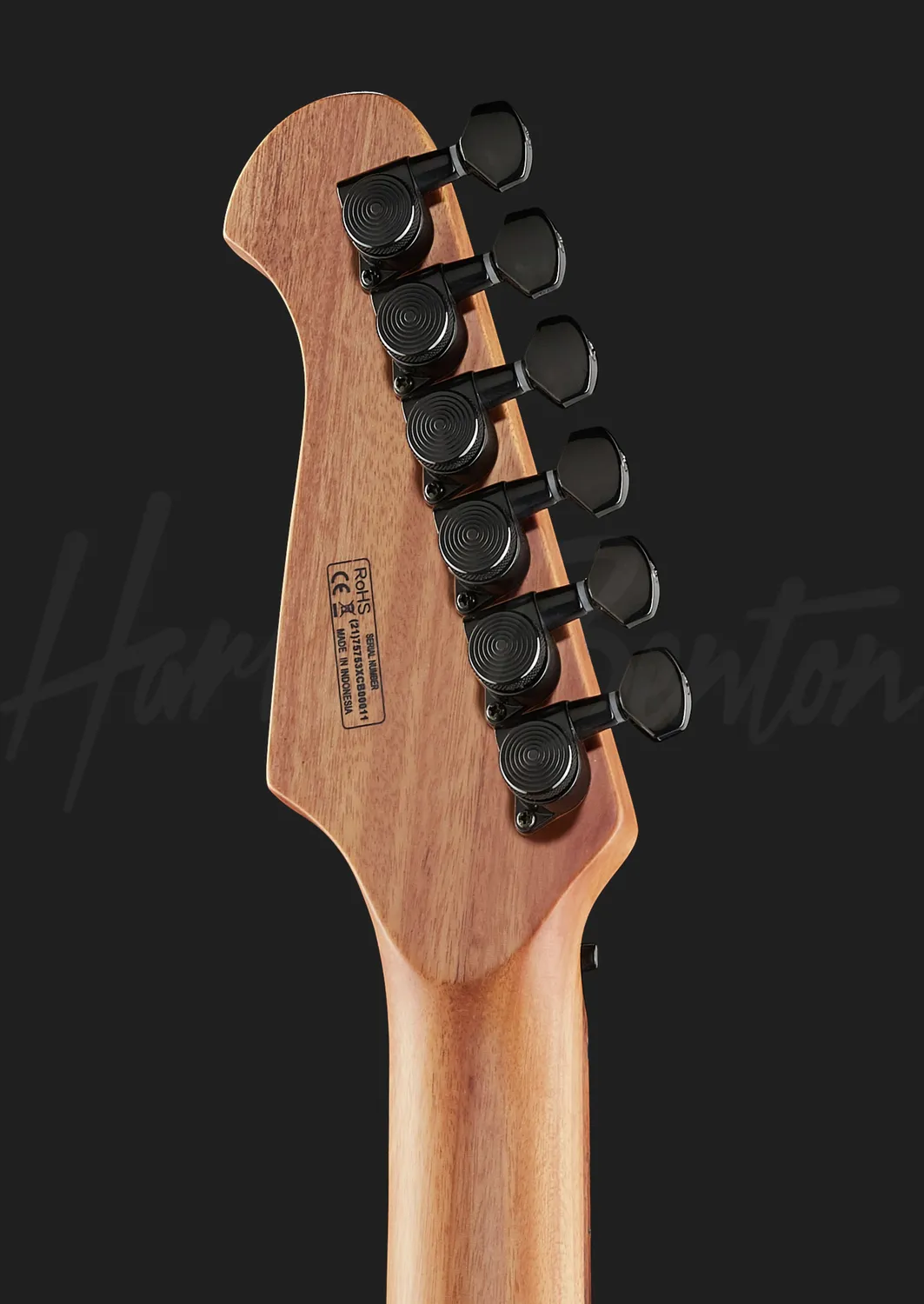Harley Benton HP-42 Grey Flame E-Gitarre Flamed Maple