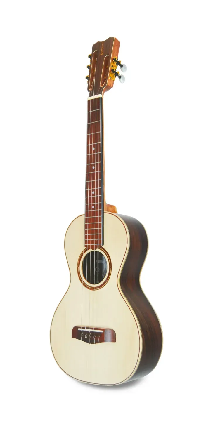 APC Luthier RAJ Rajão Fichte massiv