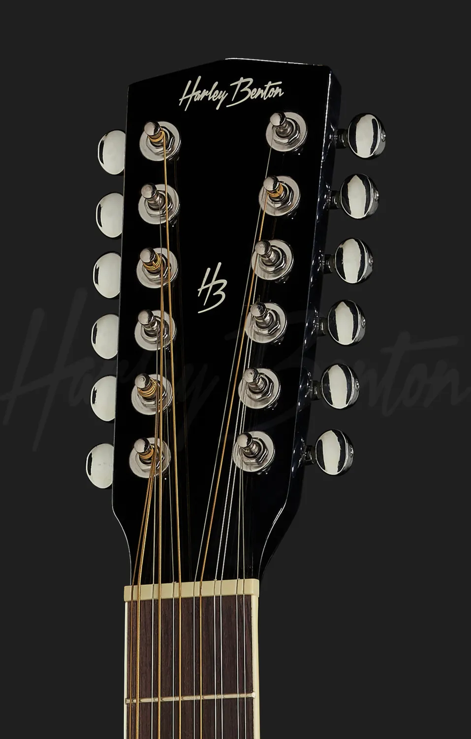 Harley Benton Custom Line D-200CE-12 Westerngitarre 12-saitig BK