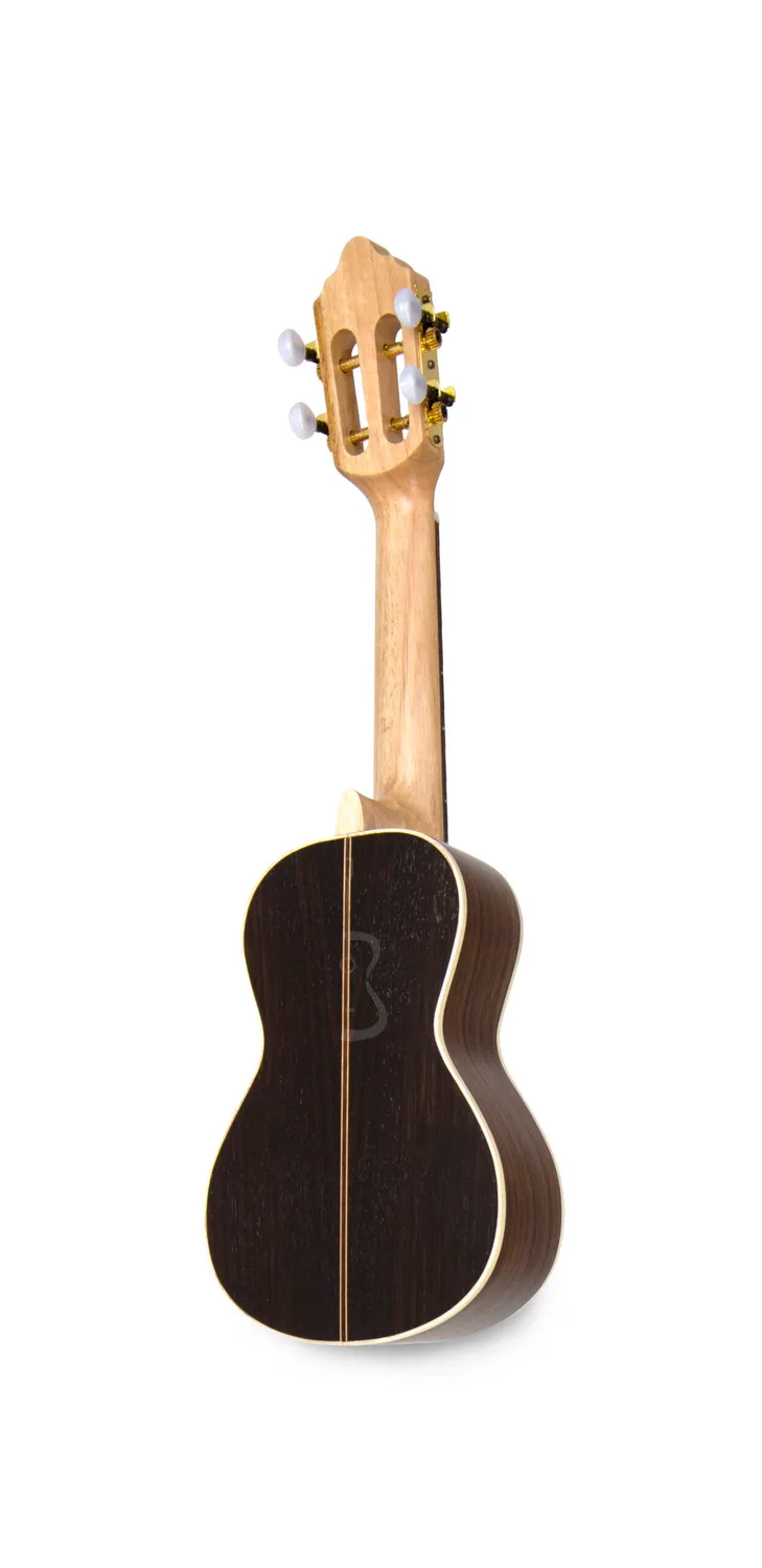 APC BRA Luthier Viola Braguesa Fichte Palisander