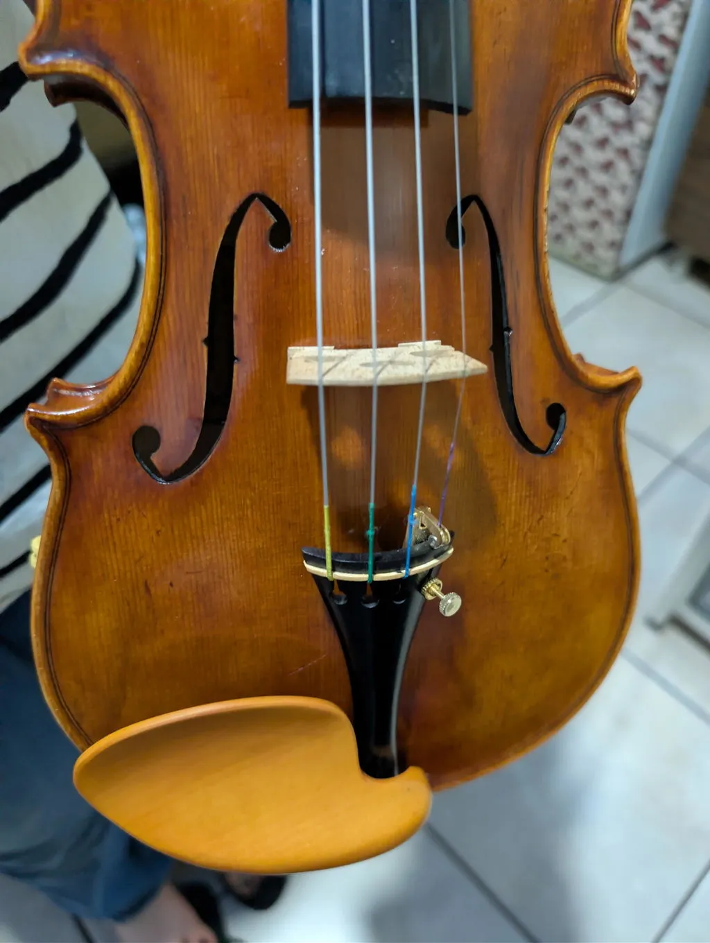 Shar Music Gordon Kinnhalter Buchsbaum Violine 4/4