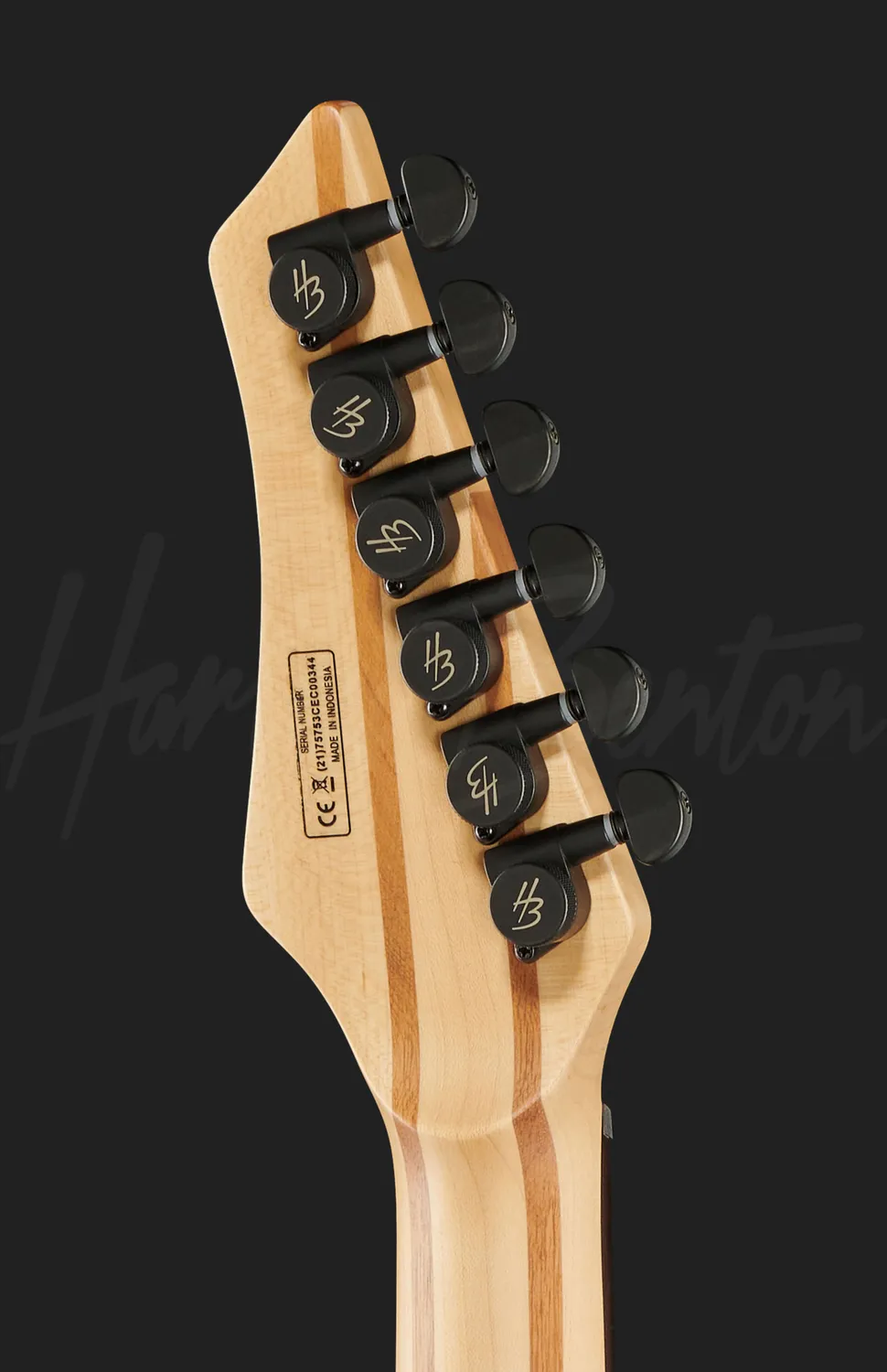 Harley Benton Amarok-6 LH E-Gitarre Flame Burst