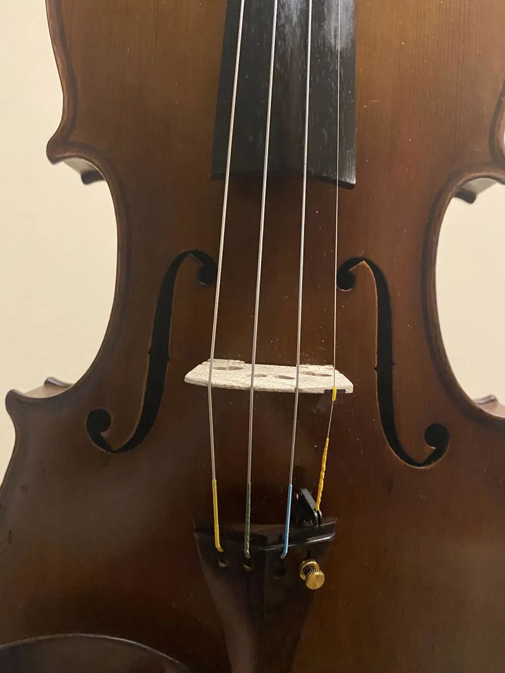 Teller Violinsteg 4/4 Ebenholz-Einlage deutsche Qualität