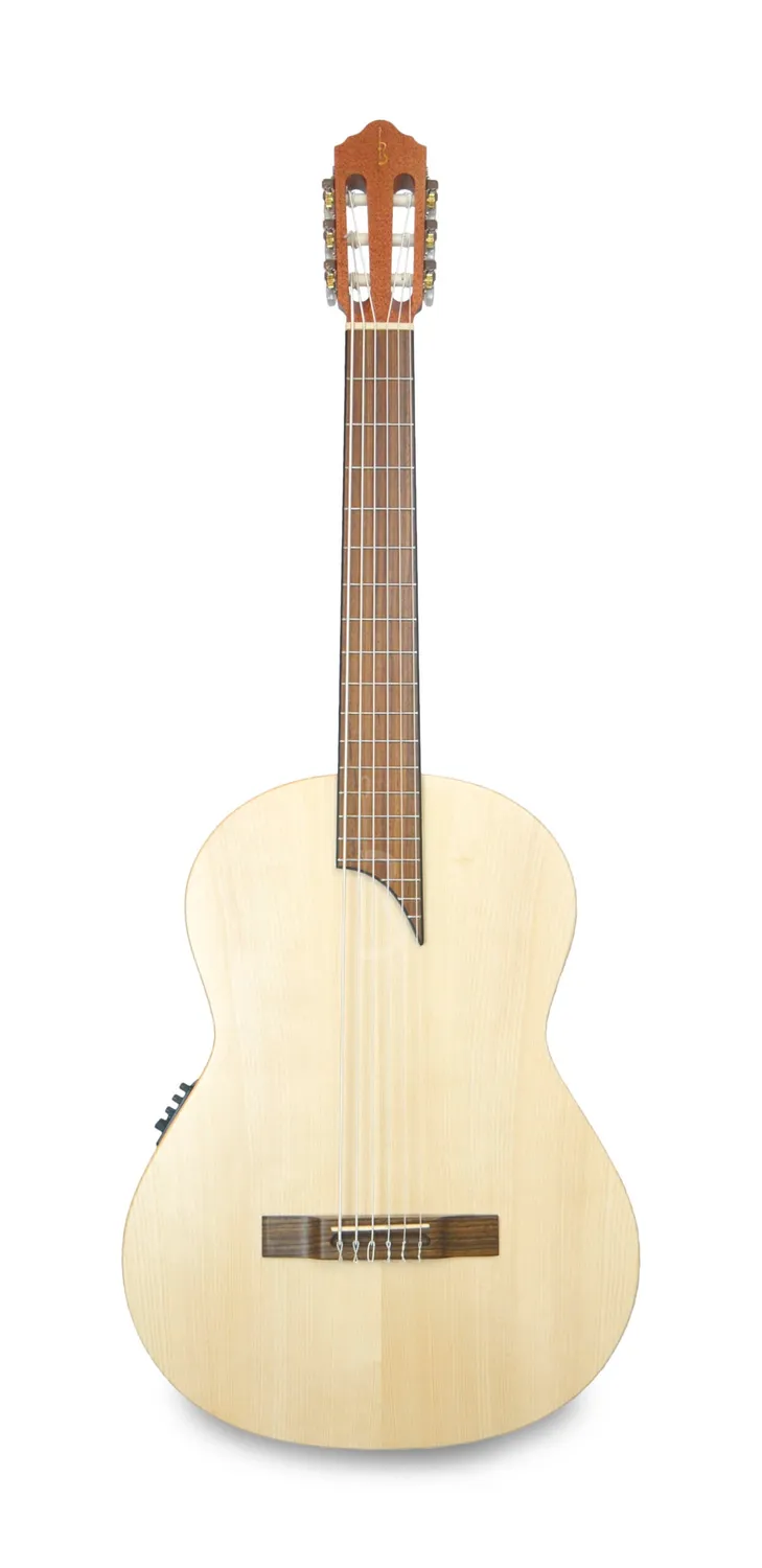APC 1S MX PK Akustikbass Fichte Sapelli