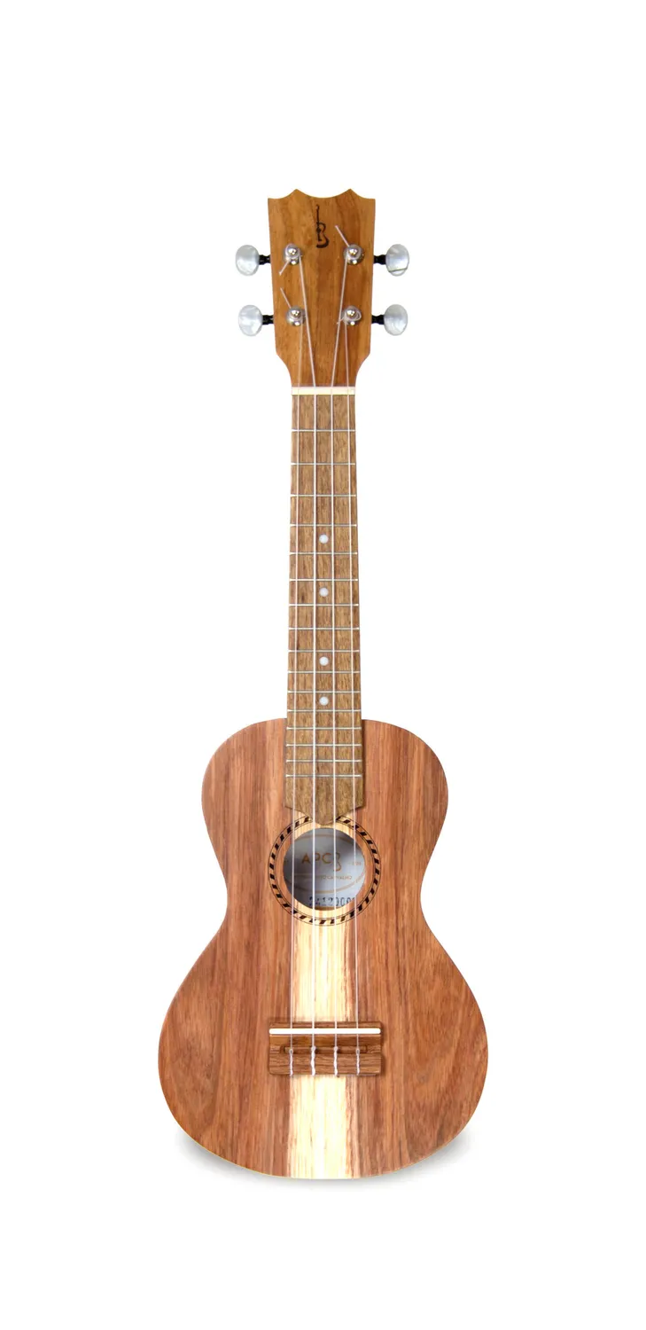 APC instruments SS Saiteninstrument Koa massiv offenporig