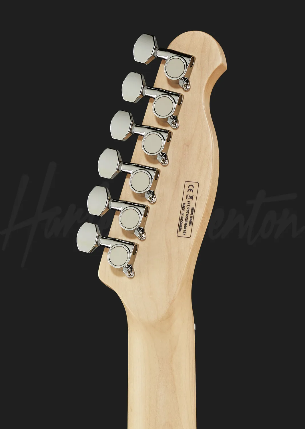 Harley Benton Classic Series TE-90FLT E-Gitarre Vintage White Humbucker