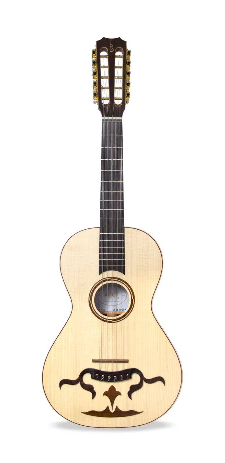 APC BRG Luthier Braguesa massiv Palisander