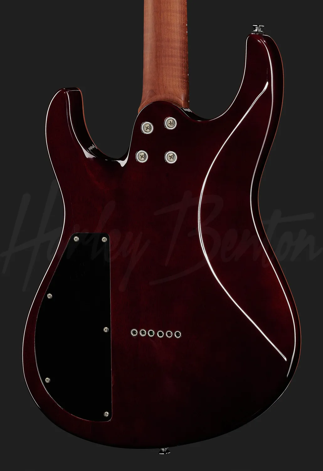 Harley Benton Rock Series HP-42 Signature TT E-Gitarre Roasted P90
