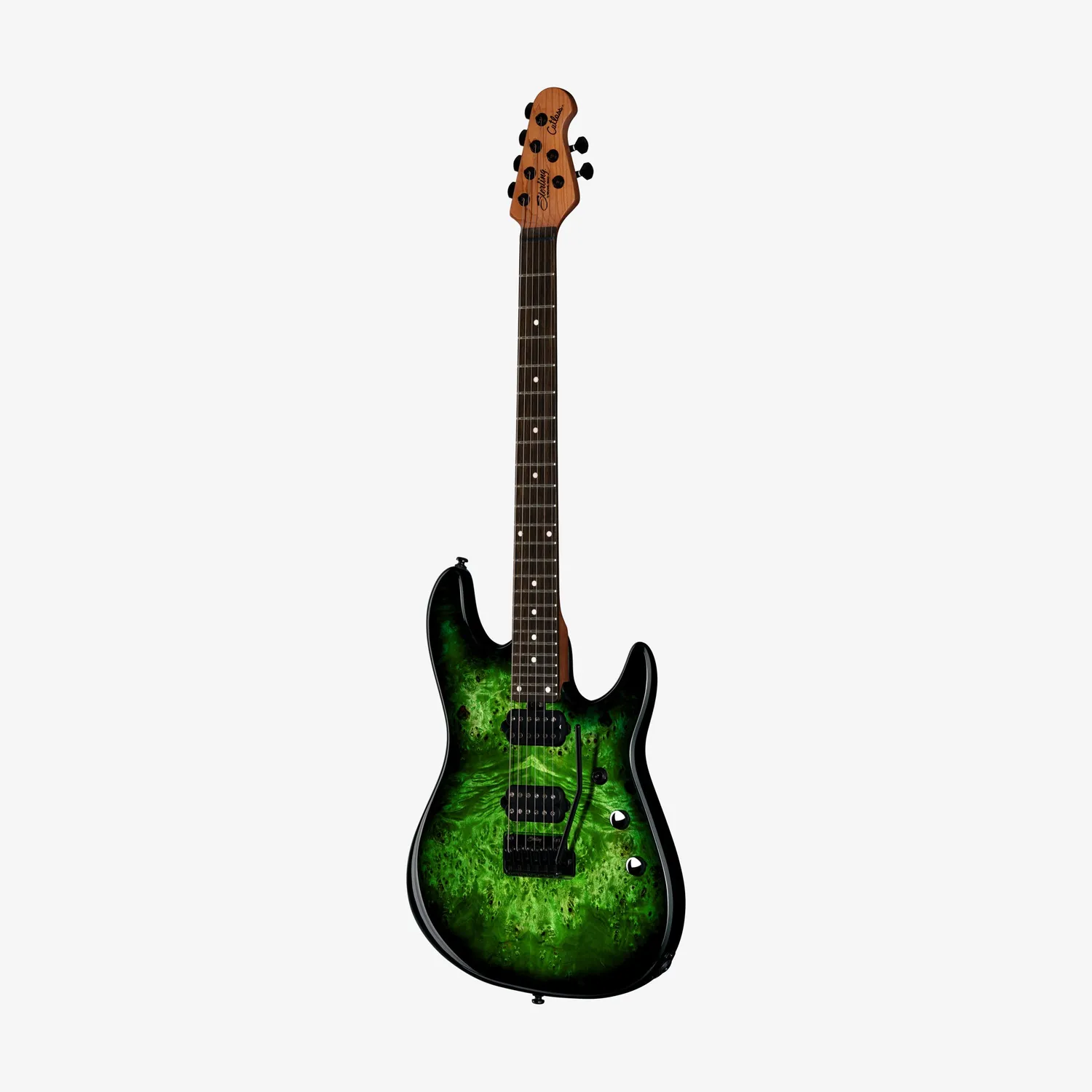 Sterling Artist Richardson 6 E-Gitarre Kokiri Forest 6-saitig