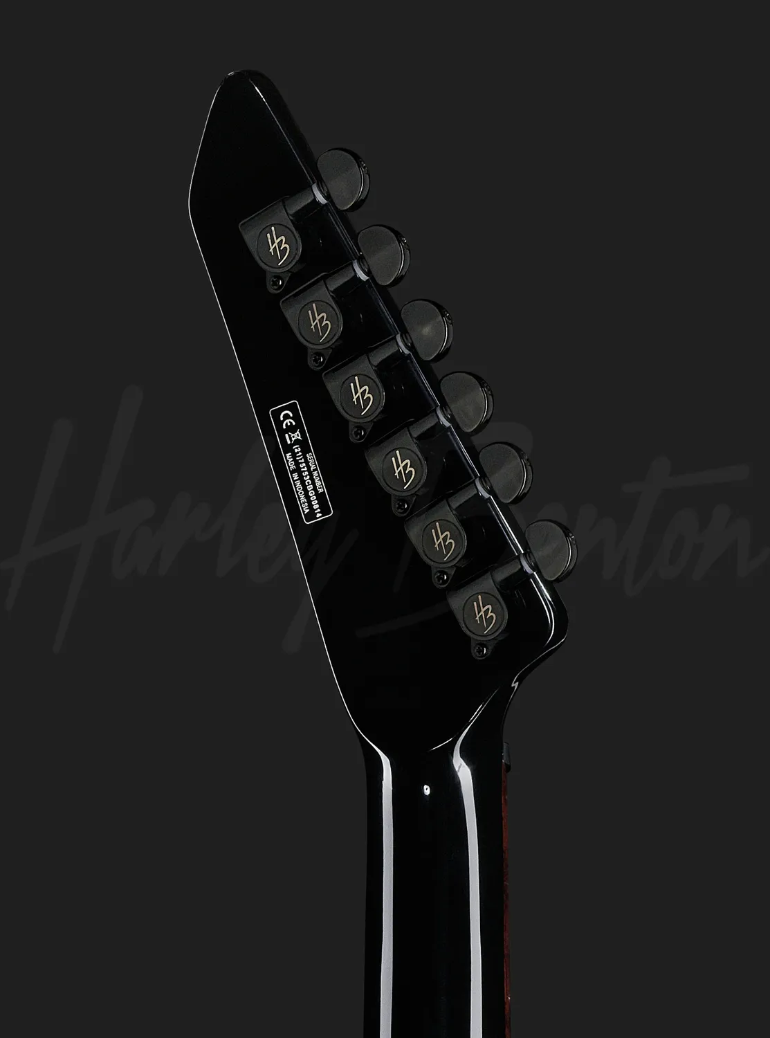 Harley Benton EX-84 Modern E-Gitarre Black