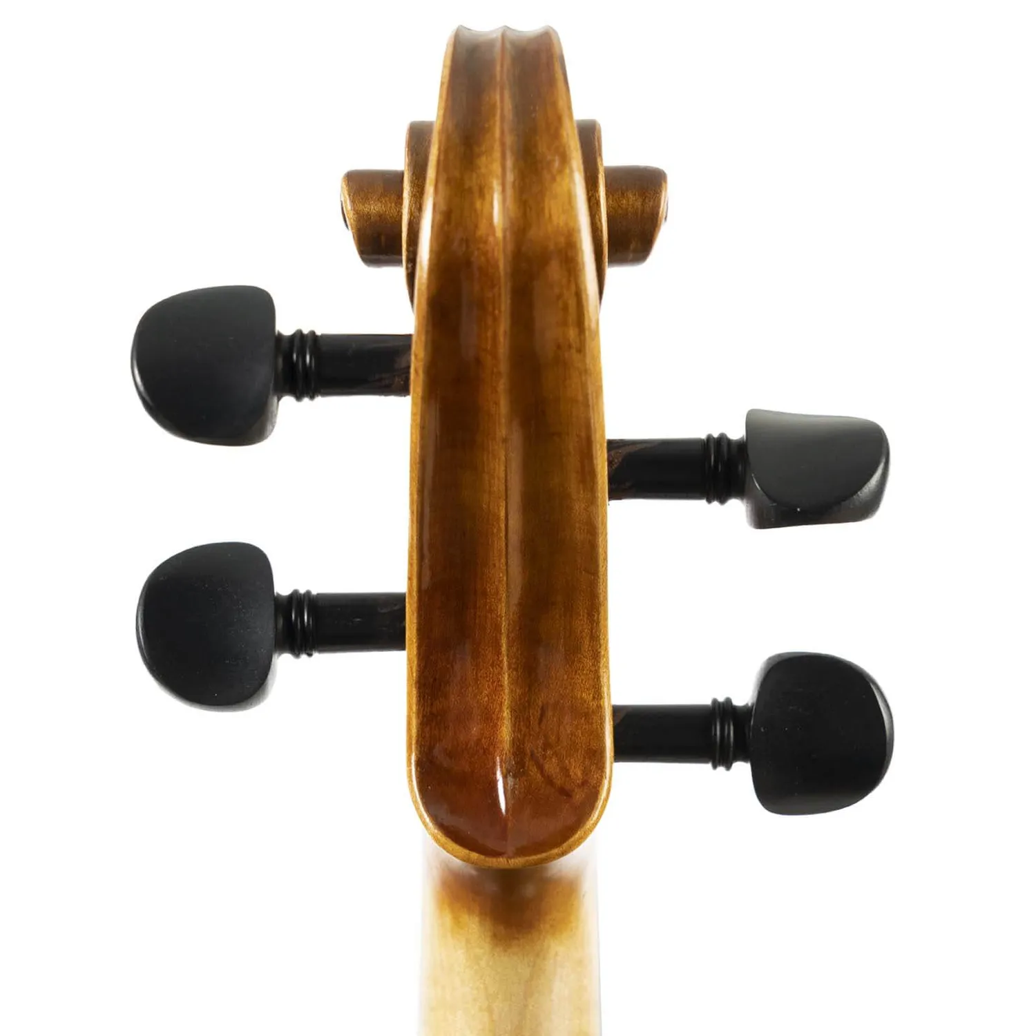 Franz Hoffmann Concert Fiddle Geige 4/4 DAddario Folk hell