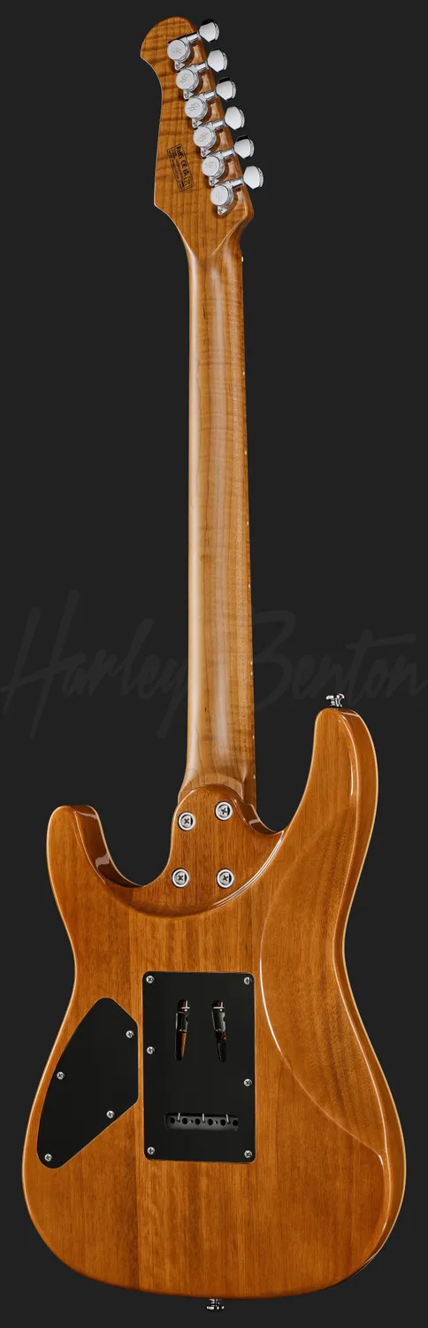 Harley Benton Progressive Fusion-IV HH MN E-Gitarre Flame Natural