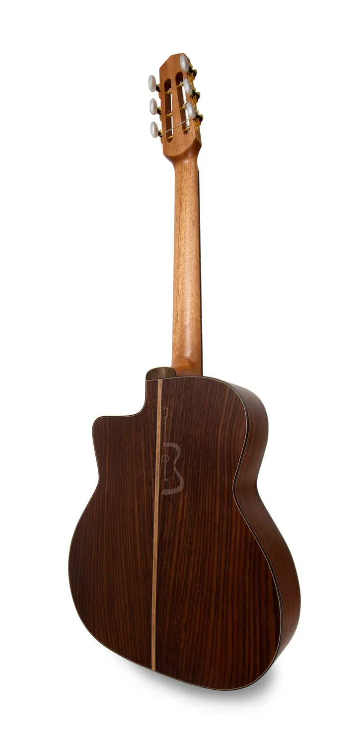 APC JMD300 PSI Gitarre Palisander massiv offenporig