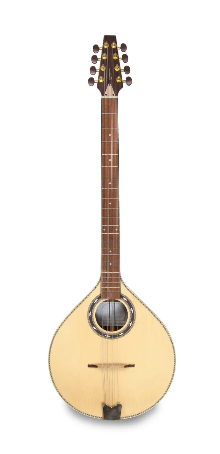 APC IRB312 Irish Bouzouki Fichte Palisander massiv