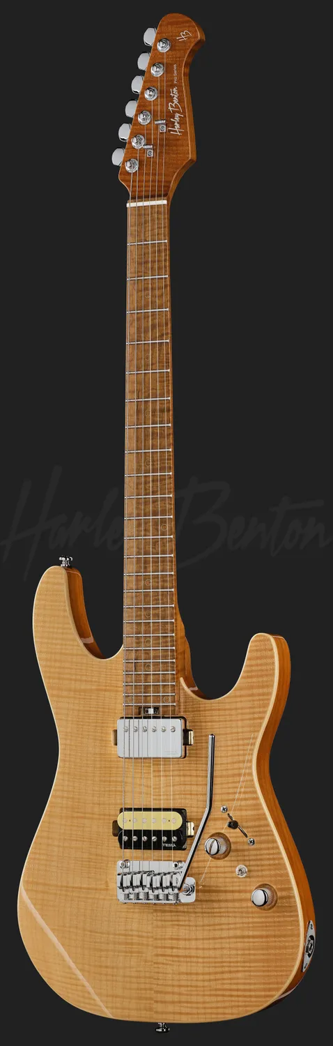 Harley Benton Progressive Fusion-IV HH MN E-Gitarre Flame Natural