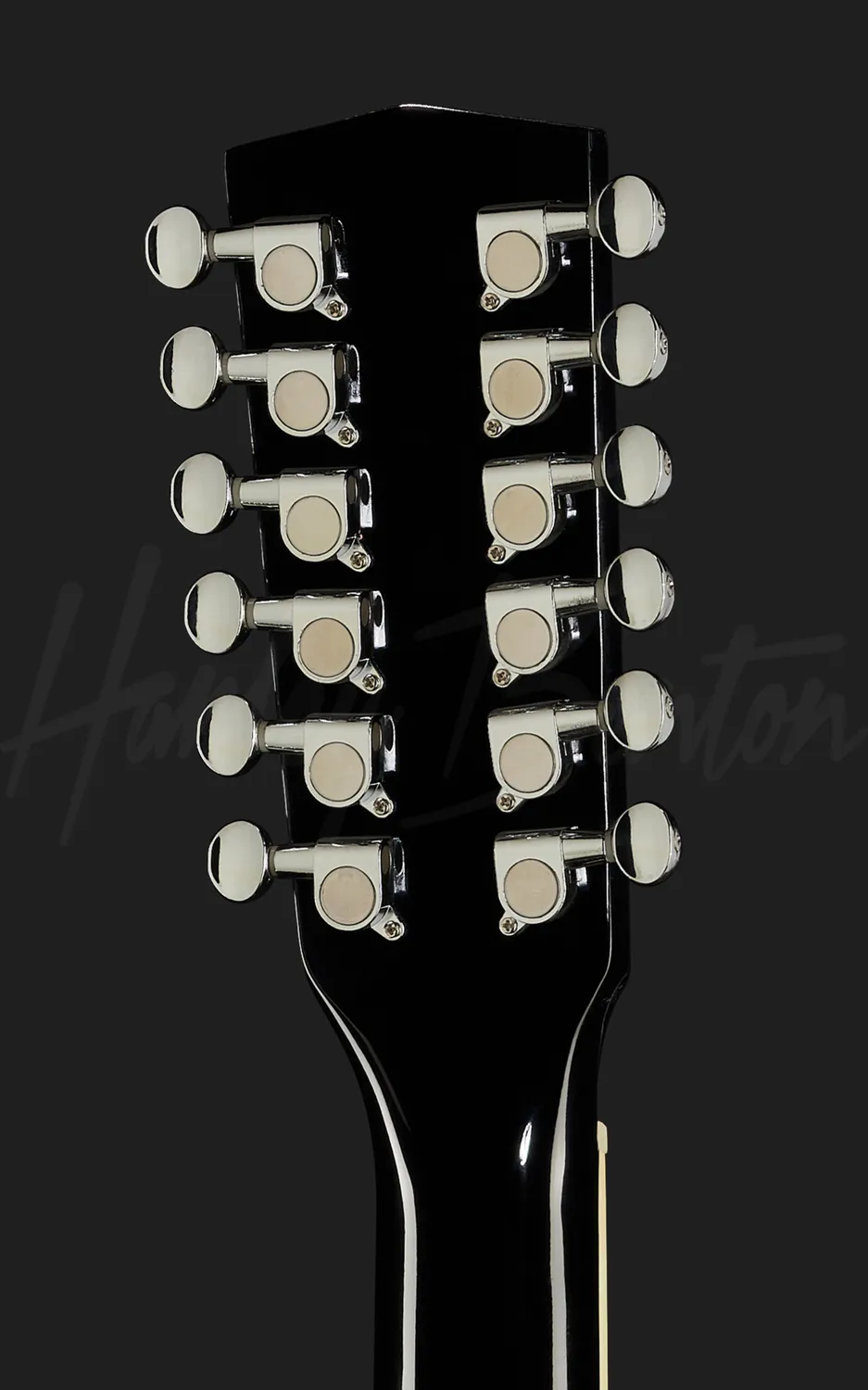 Harley Benton Custom Line D-200CE-12 Westerngitarre 12-saitig BK