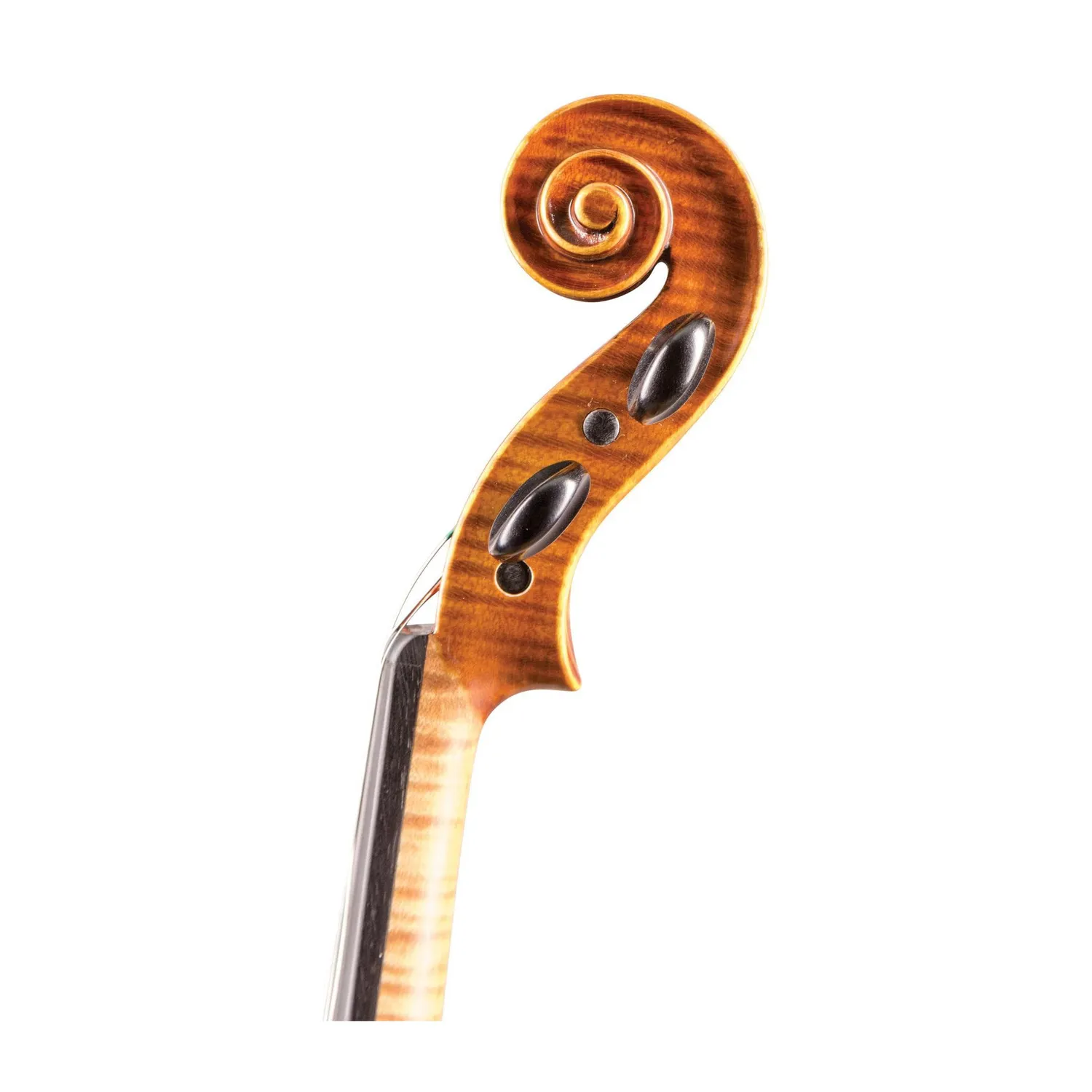 Shar Otto Ernst Fischer Bianca Violine warmer Klang
