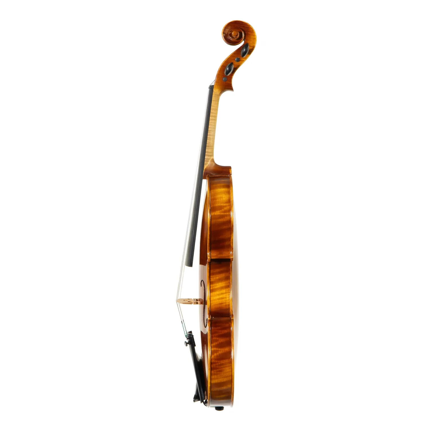 Shar Workshop Premium Violine 4/4 Evah Pirazzi Ebenholz