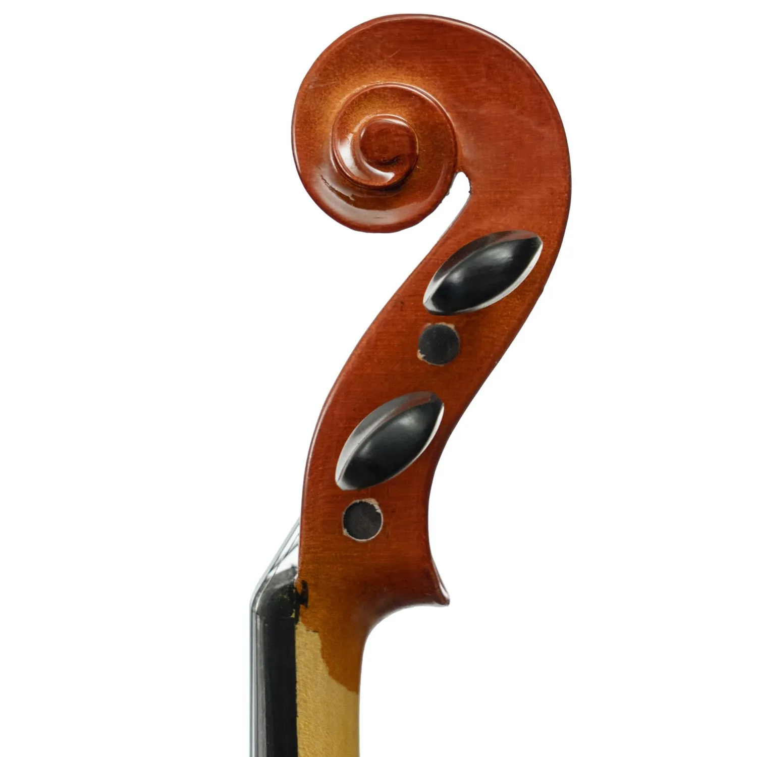 Shar Franz Hoffmann Amadeus Geige 4/4 Ahorn