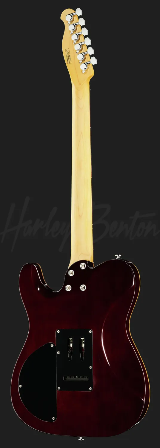 Harley Benton Progressive Fusion-T HH E-Gitarre OCT