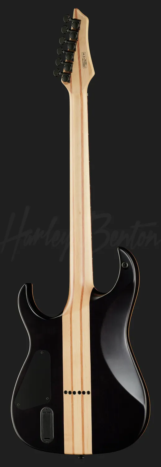 Harley Benton Amarok-6 BKNT E-Gitarre Flame Burst