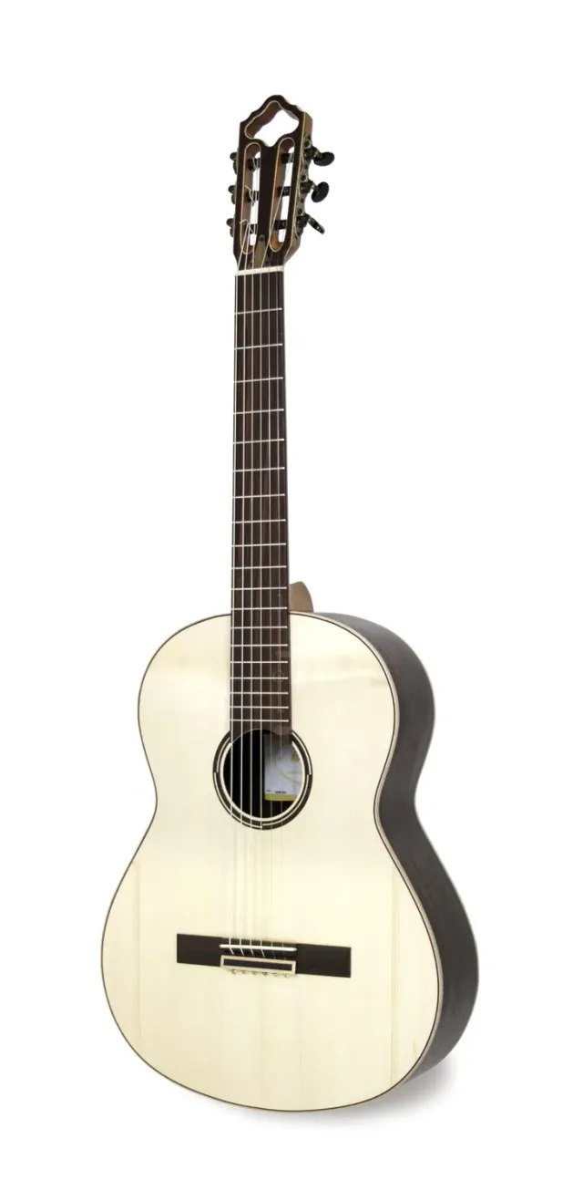 APC CGS 312 Gitarre massiv Palisander Koffer