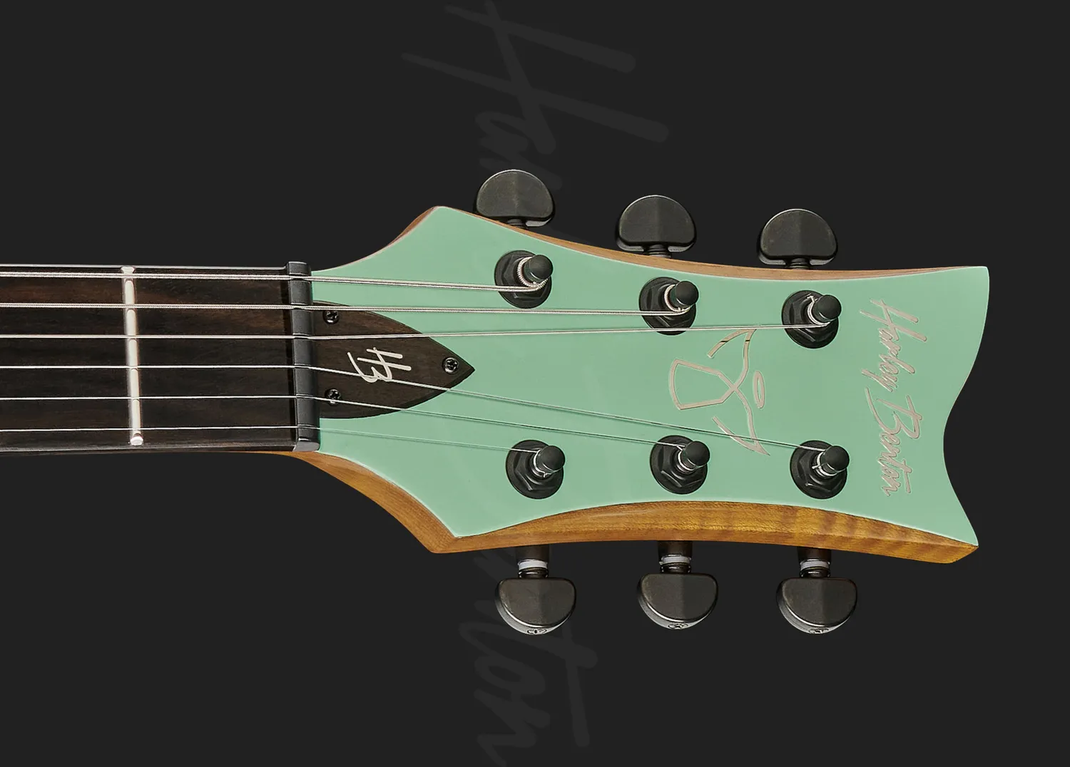 Harley Benton Agufish STD Signature E-Gitarre Seafoam Green Satin