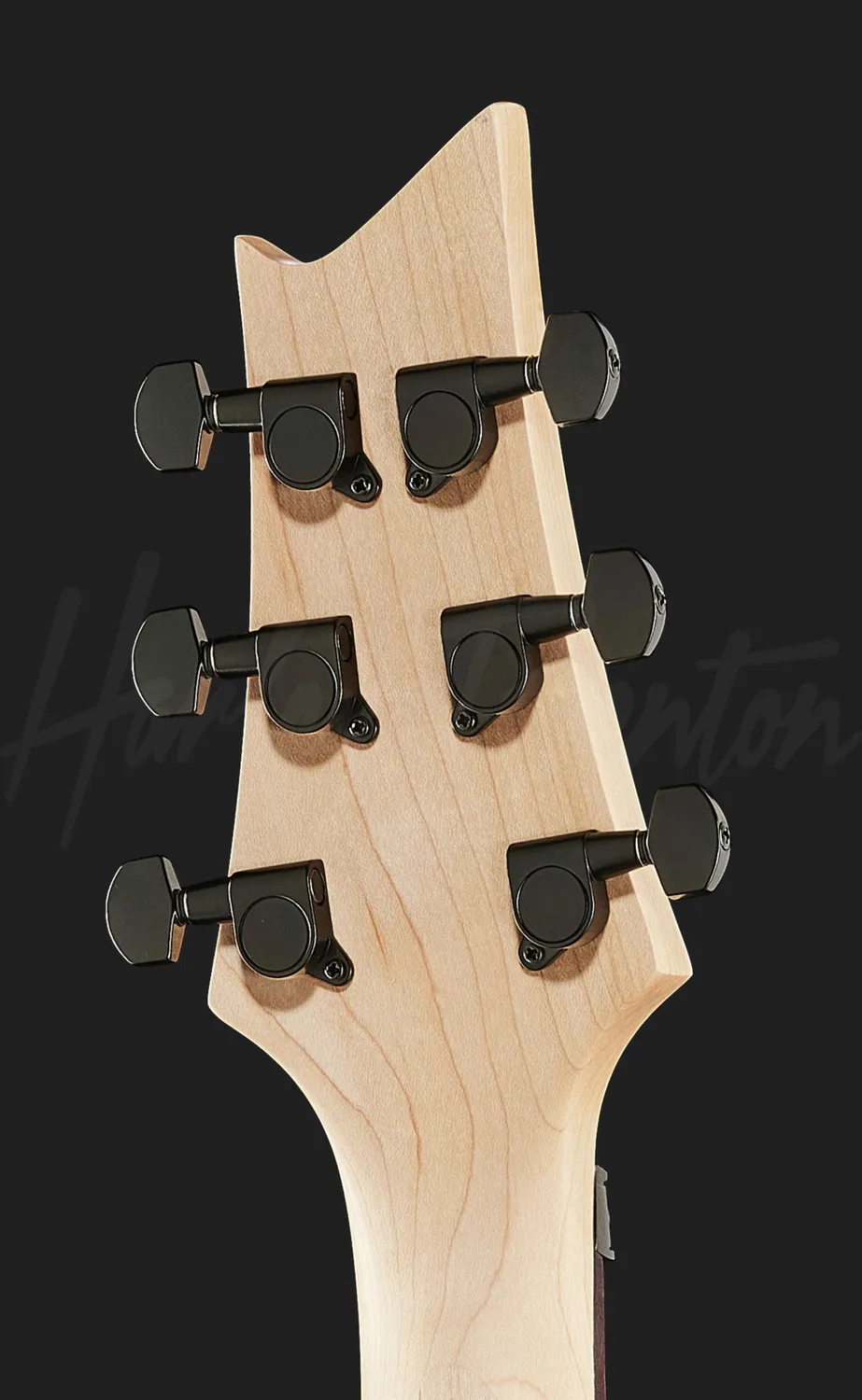 Harley Benton Rock R-456FR BK E-Gitarre Schwarz Floyd Rose