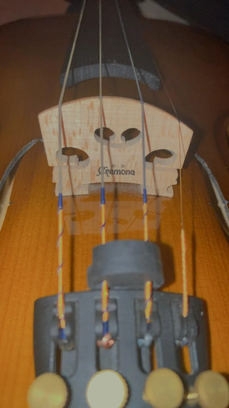 Larsen Violin Saiten Set 4/4 Medium Gold-E