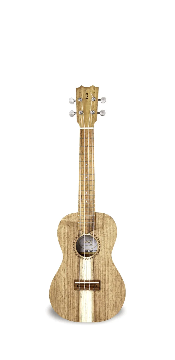 APC CS Cavaquinho massives Koa Kleinformat
